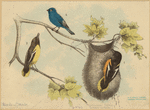 Image ID 821047
