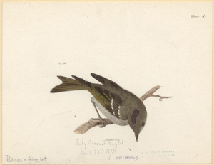 Image ID 821050