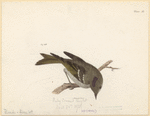 Image ID 821050