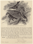Image ID 821051
