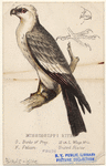Image ID 821054