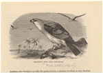 Image ID 821056