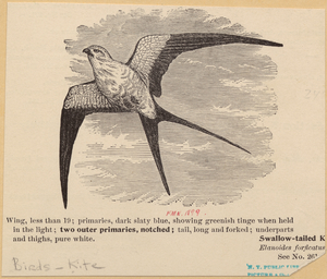 Image ID 821057