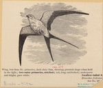 Image ID 821057
