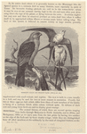 Image ID 821058