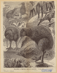 Image ID 821062
