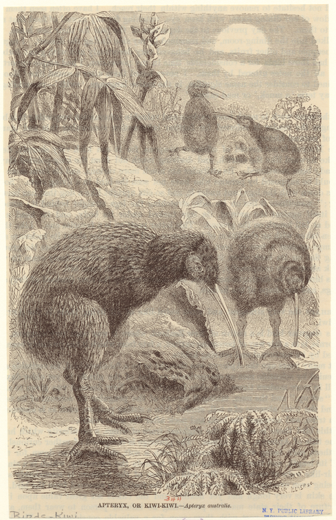Image ID 821064
