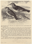 Image ID 821066