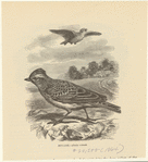 Image ID 821067