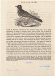 Image ID 821071