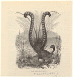 Image ID 821079