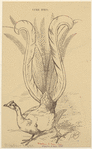 Image ID 821080