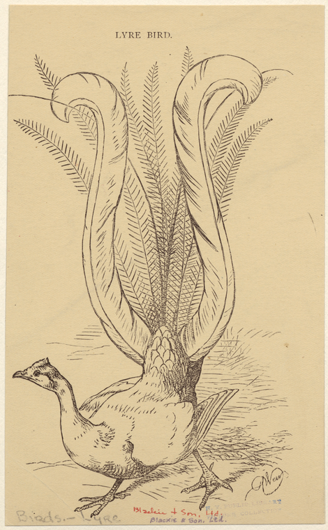Image ID 821080
