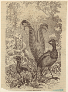 Image ID 821081