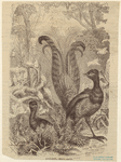 Image ID 821081