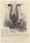 Image ID 821083