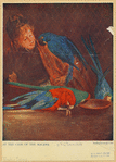 Image ID 821086