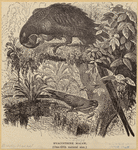 Image ID 821088