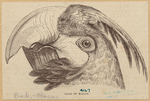 Image ID 821089