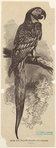 Image ID 821090