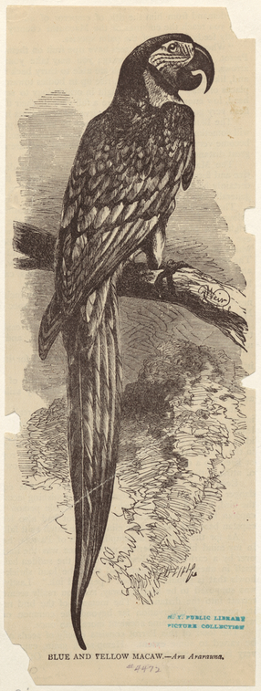 Image ID 821090
