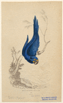 Image ID 821092