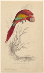 Image ID 821096