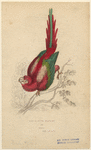 Image ID 821097
