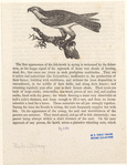 Image ID 821100