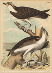 Image ID 821101
