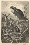 Image ID 821102