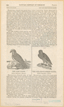 Image ID 821105