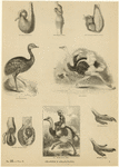 Image ID 821108