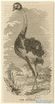 Image ID 821113