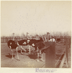 Image ID 821116