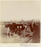 Image ID 821120