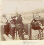Image ID 821121