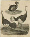 Image ID 821122