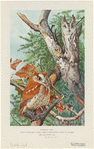Image ID 821127