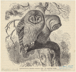 Image ID 821129