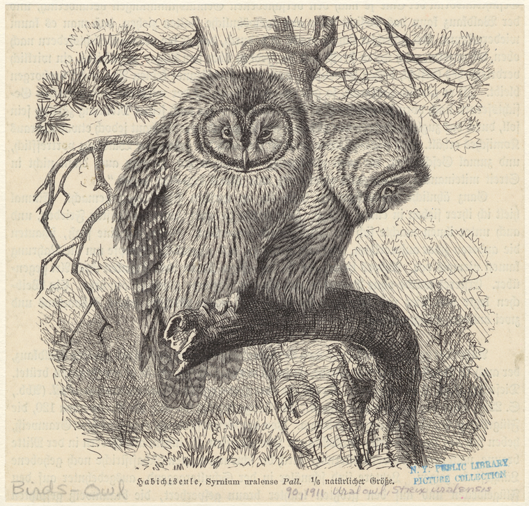 Image ID 821129
