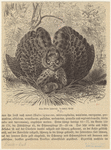Image ID 821131