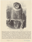 Image ID 821134