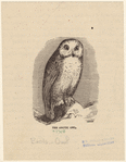 Image ID 821135
