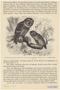 Image ID 821136
