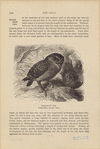 Image ID 821137