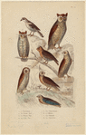 Image ID 821144