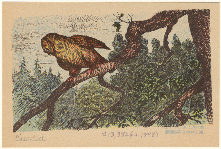 Image ID 821145
