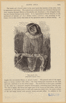 Image ID 821146