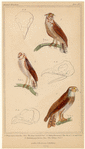 Image ID 821148